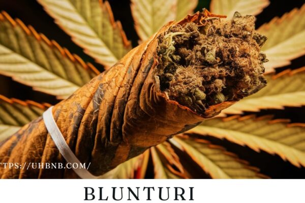 Blunturi