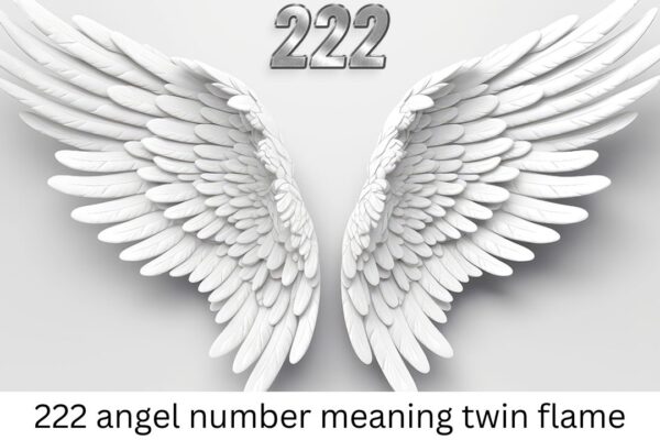 222 angel number meaning twin flame