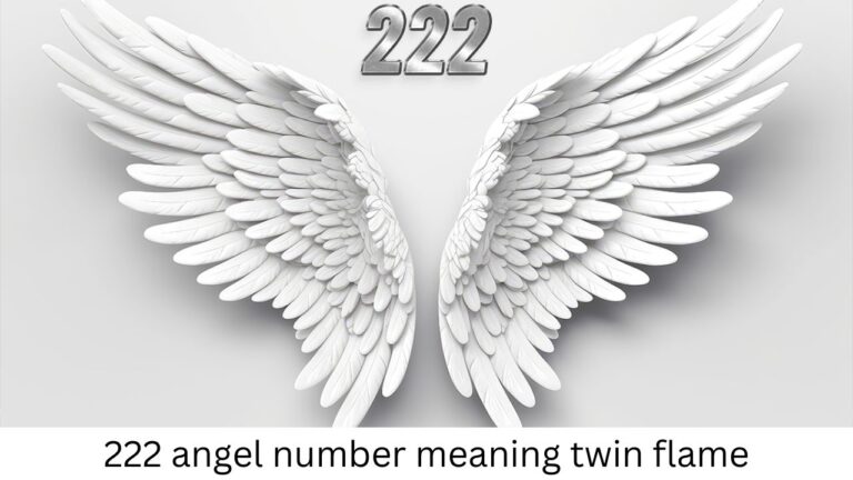 222 angel number meaning twin flame